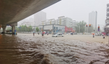 桂林强降雨出现内涝:车要浮起来了 371所学校因暴雨停课