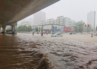 桂林强降雨出现内涝:车要浮起来了 371所学校因暴雨停课