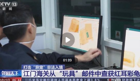 这些非法入境“异宠”隐患多 一些国内没有的物种更是受到热捧