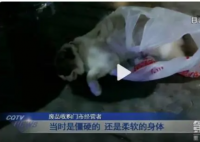 宠物猫被邻居高空扔下活活摔死 到底怎么回事
