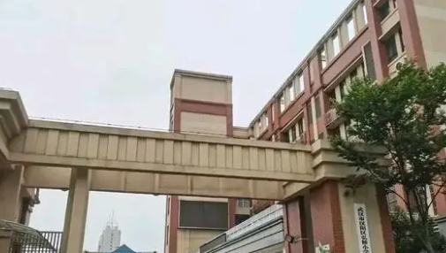 被撞小学生妈妈:孩子遭二次碾压拖行 肇事的司机是一位四年级班主任