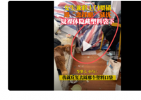女生兼职上门喂猫遭恋踩癖骚扰 到底怎么回事
