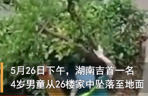 从26楼撑伞跳下男童生命体征平稳 断肢已经接上