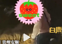 小孩把景区钟乳石敲断带走 天星洞景区在天星桥景区中段