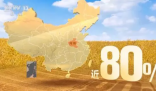 一组数字看中国丰收“速度” 各地抢收进度如何?