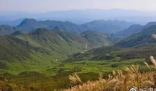 驴友爬山遭雷击:直挺倒下全身麻木 夏季是雷暴天气高发时节
