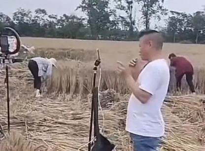 网红扎堆到麦地直播割麦 博主为蹭热度吸引流量