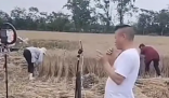 网红扎堆到麦地直播割麦 博主为蹭热度吸引流量