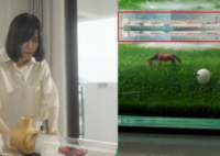 女生用一个鱼缸做出海市蜃楼 网友们纷纷表示赞赏和惊叹