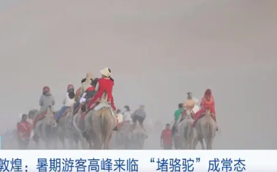 敦煌又双叒叕堵骆驼了! 场面显得十分壮观 