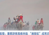 敦煌又双叒叕堵骆驼了! 场面显得十分壮观 