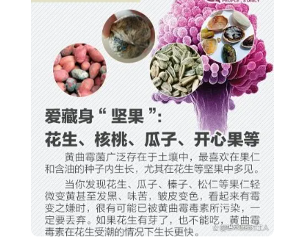 身边的超级致癌物:黄曲霉菌 每天都在接触