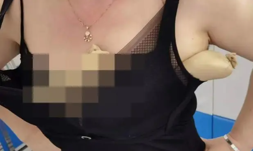 女子用丝袜包5条活蛇藏胸部入境 怎么想出来这种主意的