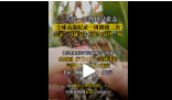 专家称本周可能是十万年来最热一周 热带太平洋7年来首次形成厄尔尼诺条件