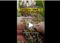 专家称本周可能是十万年来最热一周 热带太平洋7年来首次形成厄尔尼诺条件