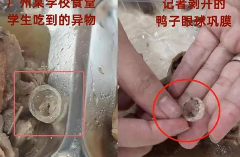 异物是鸭眼巩膜?记者解剖多个鸭头 涉事学生食堂员工受到处罚