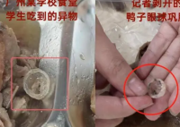 异物是鸭眼巩膜?记者解剖多个鸭头 眼球巩膜比鸭眼外表大数倍