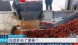 成吨死龙虾疑似被做成虾尾出售 存在潜在的风险