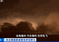夏威夷大火约100人跳太平洋逃生 导致数以千计人无家可归