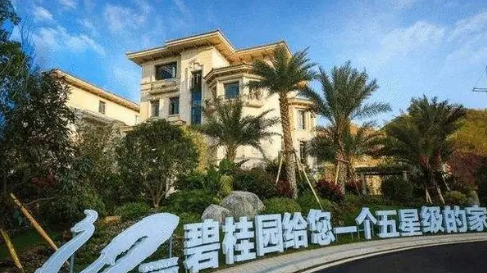碧桂园“卖卖卖”? 碧桂园在经营上面临的巨大压力