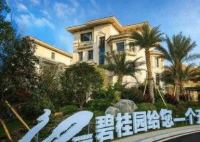 碧桂园“卖卖卖”? 碧桂园在经营上面临的巨大压力