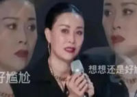 那英澳门演唱会惨遭网友抵制 引发了对整个音乐与娱乐产业的探讨
