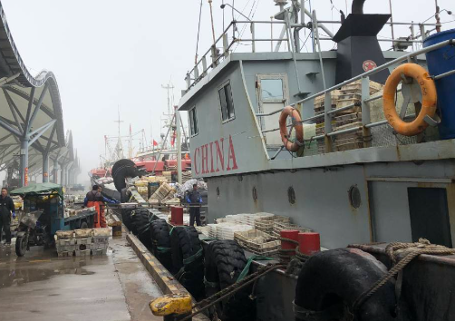 日本核污水入海对江苏渔业影响多大 小鲳鱼之类海鲜都比去年贵了20%-25%