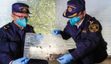 入境船舶上发现1万余只蟑螂 引发了人们对入境船舶卫生安全的关注