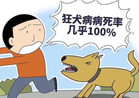 狂犬病潜伏期十几年?专家辟谣 狂犬病是一种严重的传染病