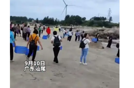 广东多人往海里放生60多箱矿泉水 浪费水资源，太浪费了