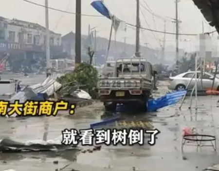 江苏龙卷风已致10人死亡 大量树木被连根拔起