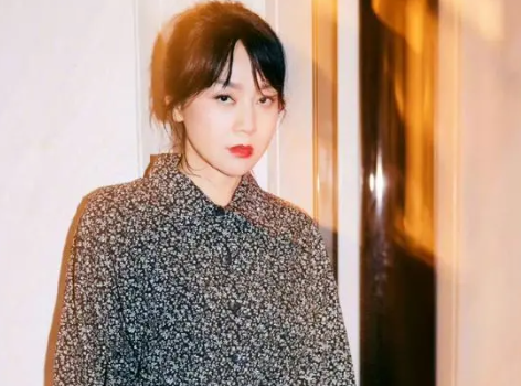 闫妮李晨辟谣恋情传闻 这一传闻最终被证实为不实