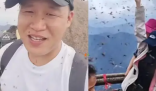 黄山飞虫成灾直扑人脸 给一些游客带来不便和困扰