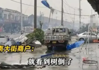 江苏龙卷风已致10人死亡 大量树木被连根拔起