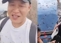 黄山飞虫成灾直扑人脸 给一些游客带来不便和困扰