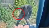 湖北疑发生当街锤人致死事件 事发现场惨不忍睹