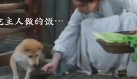 田耕纪里的大黄是狐狸精吗 