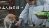 田耕纪里的大黄是狐狸精吗 这部剧的剧情设置也很有意思