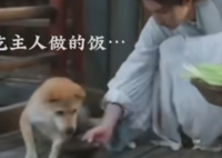 田耕纪里的大黄是狐狸精吗 《田耕纪》将目光聚焦在农村生活上