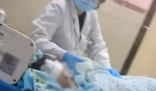 女童母亲说狗主人至今没表态 揭开了事件的真相