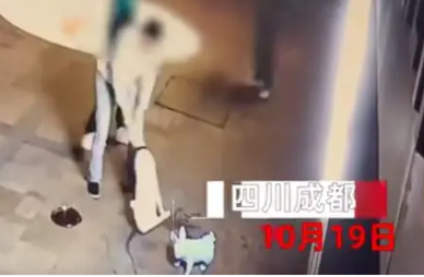 宠物店前雕塑狗遭人打砸 店主气炸 让人感到十分惋惜