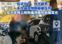 未拴绳的狗被车压死 主人扇脸大哭 这一幕你有何想法?