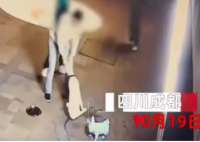宠物店前雕塑狗遭人打砸 店主气炸 让人感到十分惋惜