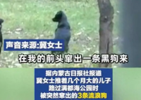 女子带娃路过公园 被3条流浪狗围攻 公园管理方表示深感遗憾和歉意