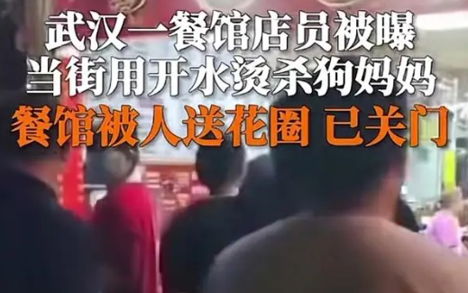 烫杀狗店员所在餐馆被喷漆撒冥币 许多爱狗人士手持花圈前往该店