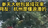 杭州参天大树被包装成巨型花束 让这个城市变得更加充满活力和温馨 
