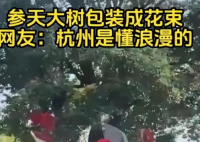 杭州参天大树被包装成巨型花束 让这个城市变得更加充满活力和温馨 