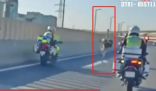 鸵鸟在街头狂奔 交警:跑了几十公里 这到底是怎么回事？