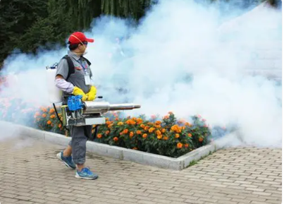 多国爆发臭虫危机 民众不敢去电影院 背后隐藏了什么秘密？