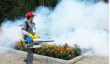 多国爆发臭虫危机 民众不敢去电影院 背后隐藏了什么秘密？